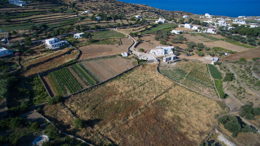 'Narlis Farm' buildings from above surrounded by trees and vineyards and houses